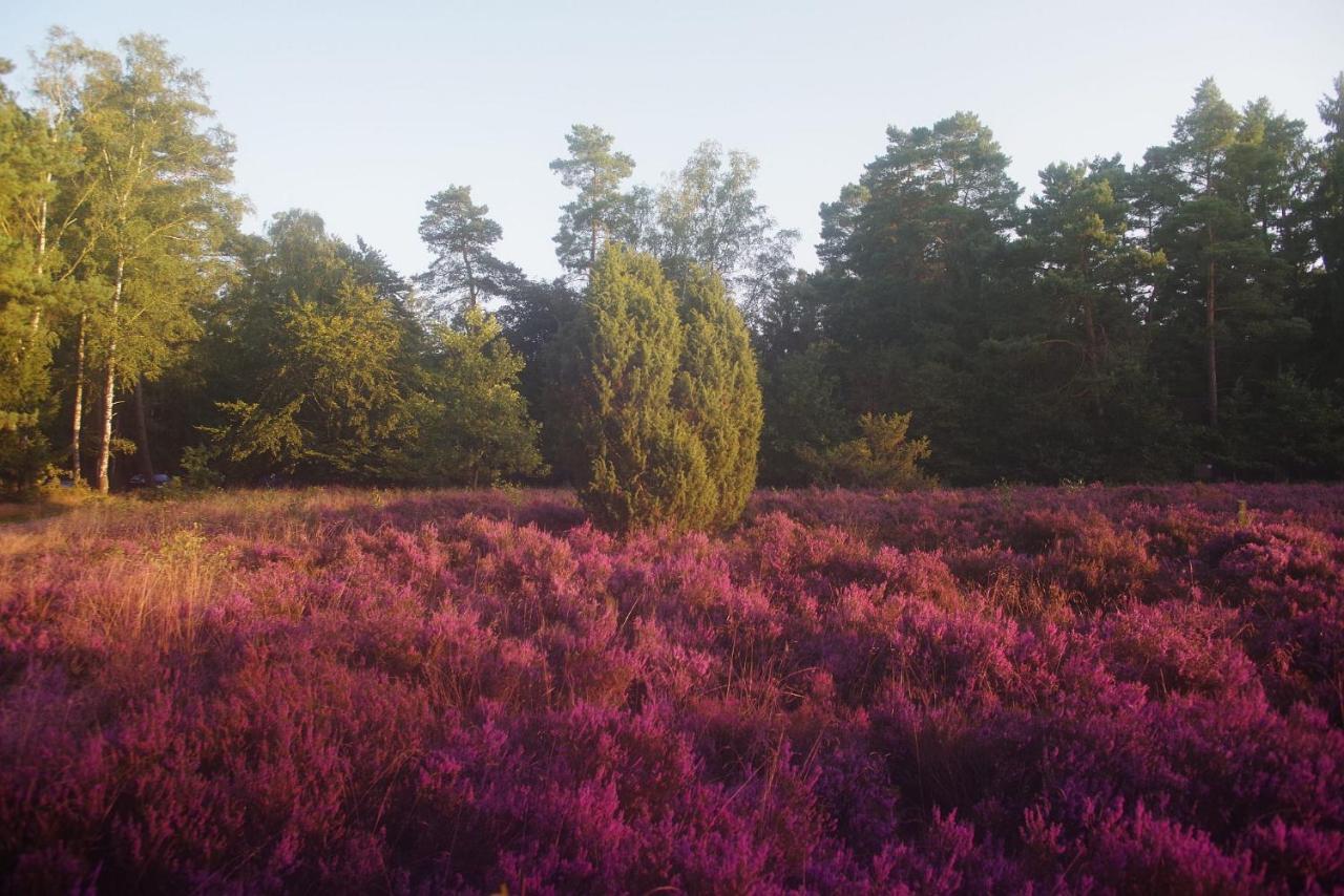 Ferienwohnung Schuur - Buchholz In Der Nordheide Extérieur photo